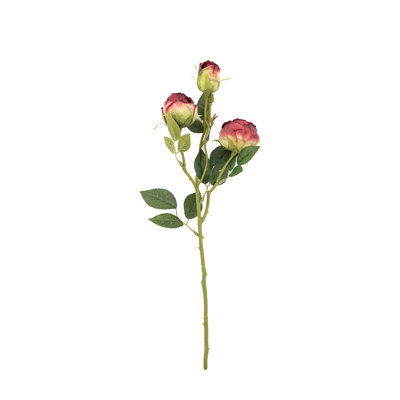 Faux Stem Vintage Rose White 540mm (6pk)