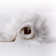 Tapis blanc Novelty Vannak