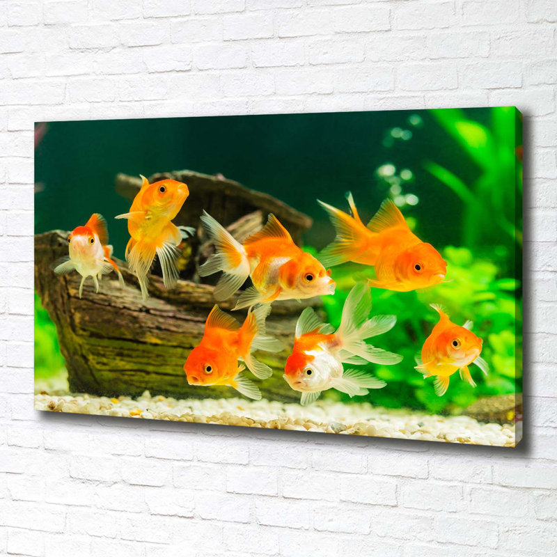 Gold Fish - No Frame Print on Canvas