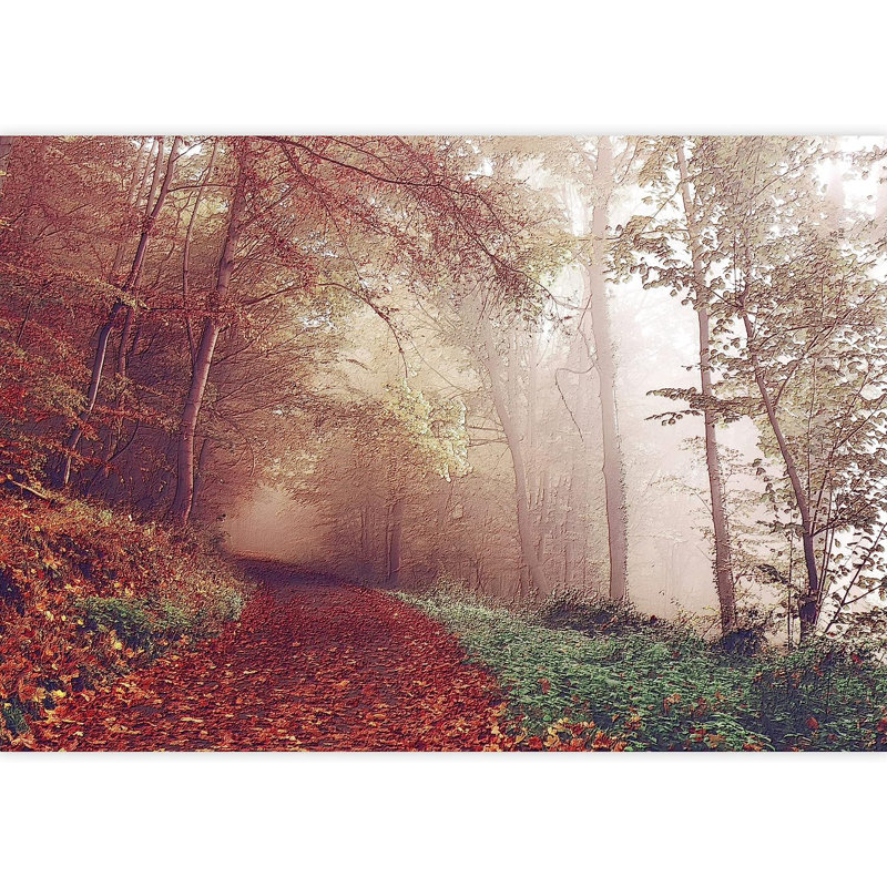 Peel & Stick Border, 100" L x 144" W