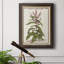 «Munting Botanicals II», reproduction d'art sur toile-172881623