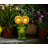 Gionni Frog Plastic Garden Statue