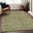 Premium Machine Washable Chandra Aloe Rug-2004993700