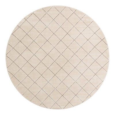 Latitude Run® Checks Novica Rug White and Silver
