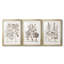 Sépia Besler Botanicals I - ensemble de 3 reproductions de cadres photo-69879060-69879055