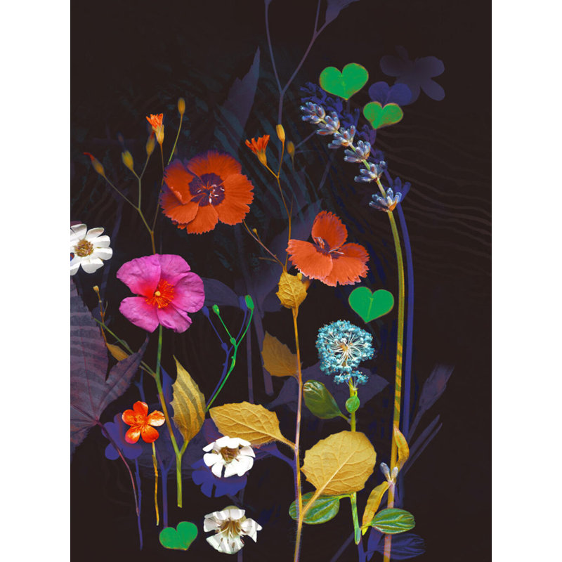 Wildflower Collection 3 Print by Katie Todaro, Black Frame Paper