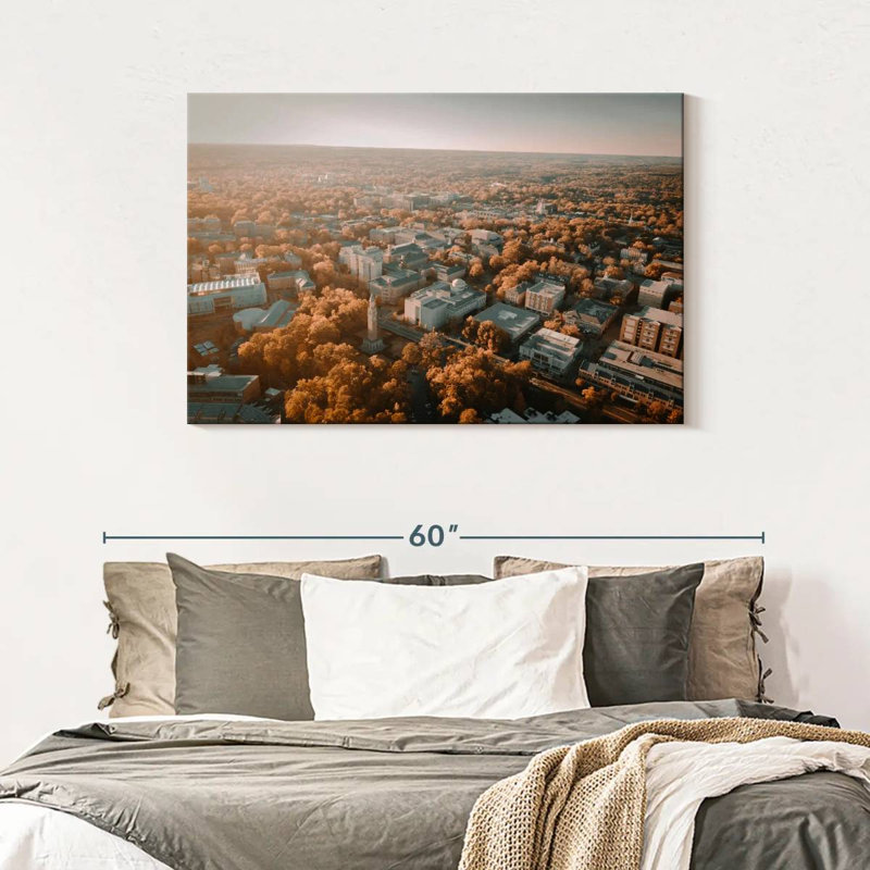 Harpa UNC Campus Aerial View, 30" H x 45" W
