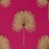 Rhodera/Gilver selected