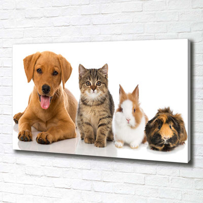 Dog And Cat - Wrapped Canvas Print