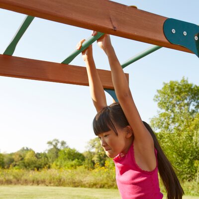 Swing-n-Slide Monkey Bars & Reviews | Wayfair