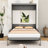 Kiora Murphy Bed Wall Bed With Cushion-1837379922-1876119861