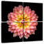 Fleur de dahlia rose Harnek-109119154