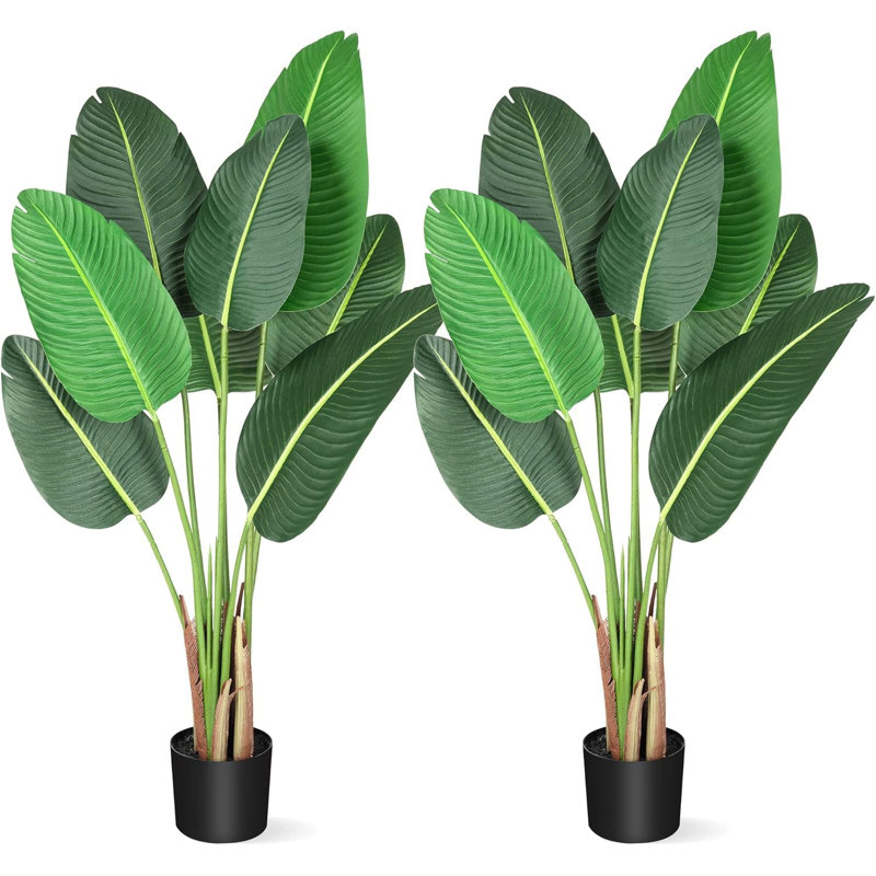 Plant, Green, 48cm H x 16cm W x 100cm D