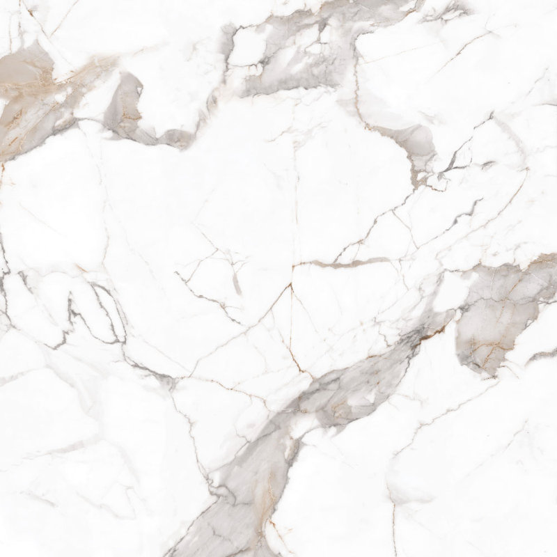 48'' x 48'' Porcelain Marble Look Wall & Floor Matt White Tile Calacatta Carrara