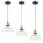 Luminaire suspendu moderne en verre 1 lumière