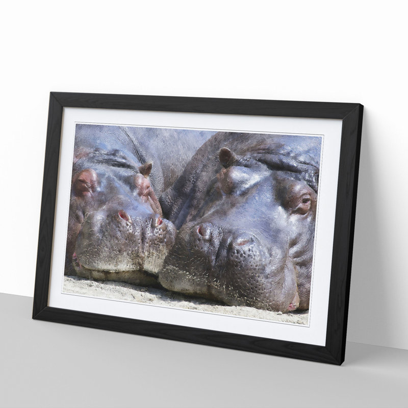 Two Hippos - Framed Print, 27cm H x 36cm W x 2cm D, Black Framed