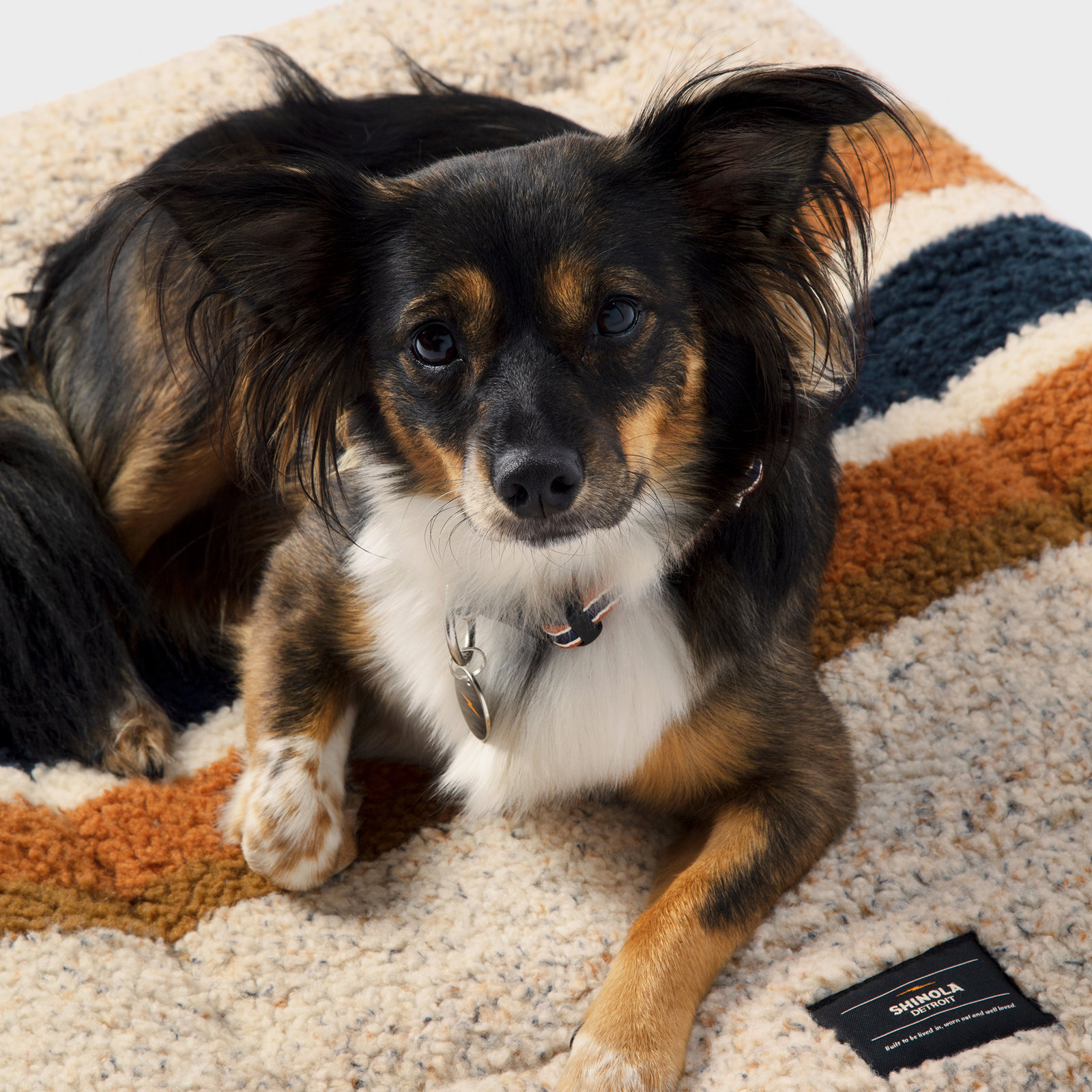 Pet Comfort Cushion, Small (30" W x 23" D x 2" H), Oatmeal