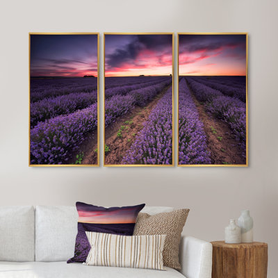 Lever de soleil et nuages dramatiques au-dessus du champ de lavande - impression sur toile flottante 3 pièces