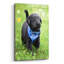 «Black Lab Pup 1» par Jonathan Ross-170843251