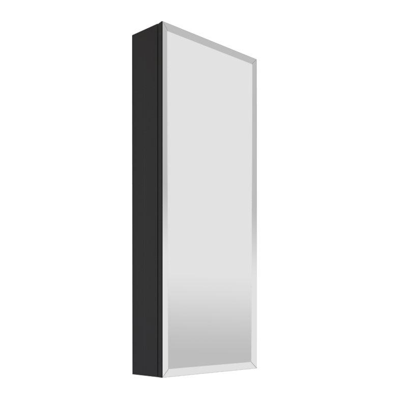 Armoire à pharmacie en aluminium Adine, H 36 po x l 15 po x P 3,75 po, Noir