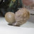 Figurines & Sculptures