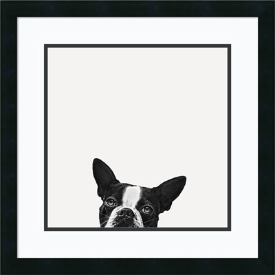 Loyalty (Dog) by Jon Bertelli - Photograph