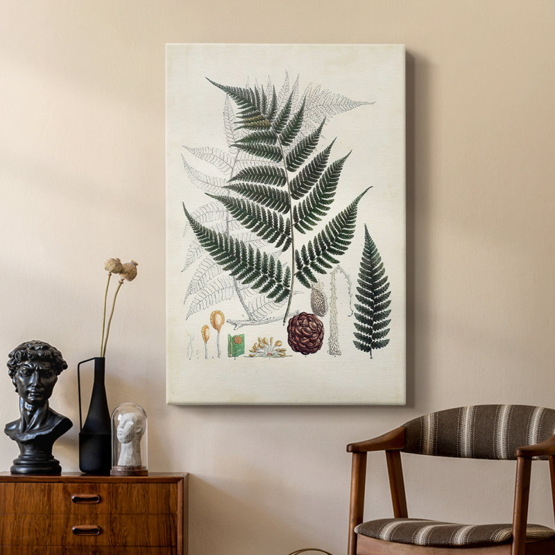 Collectionné fougères VI - galerie Cavas sur mesure, H 27 po x l 18 po