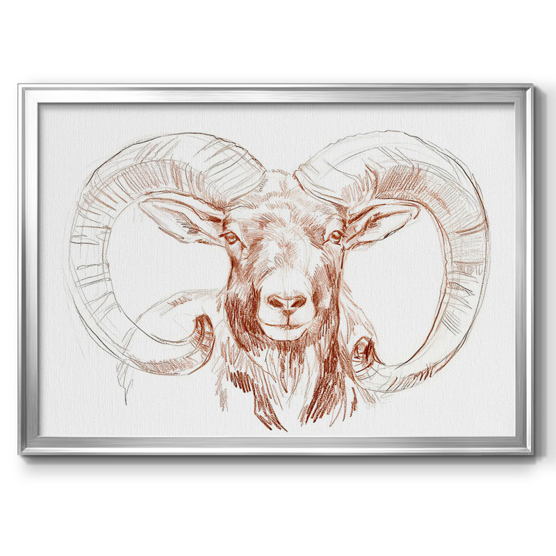 Big Horn Sheep I, reproduction d'art sur toile, Argent, H 18 po x l 26 po x P 1,5 po
