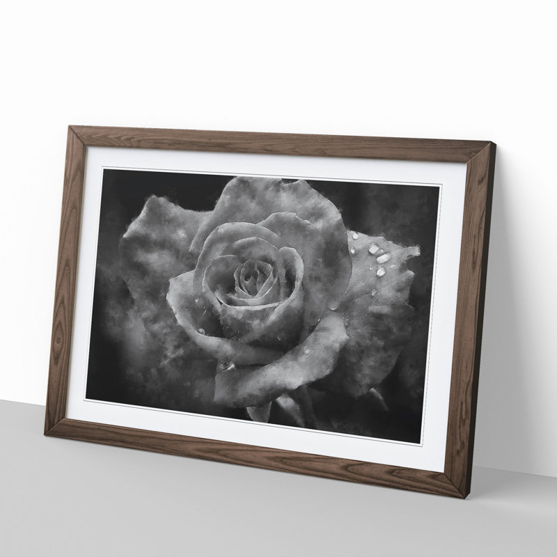 White Rose Flower Painting - Picture Frame Graphic Art, 36cm H x 48cm W x 2cm D, Walnut