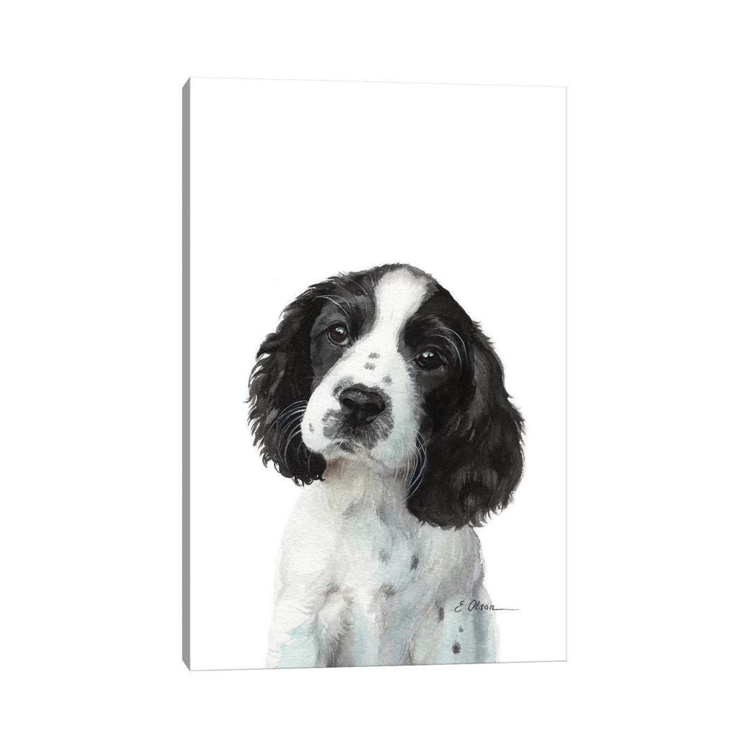 English Springer Spaniel Puppy - Painting on Canvas