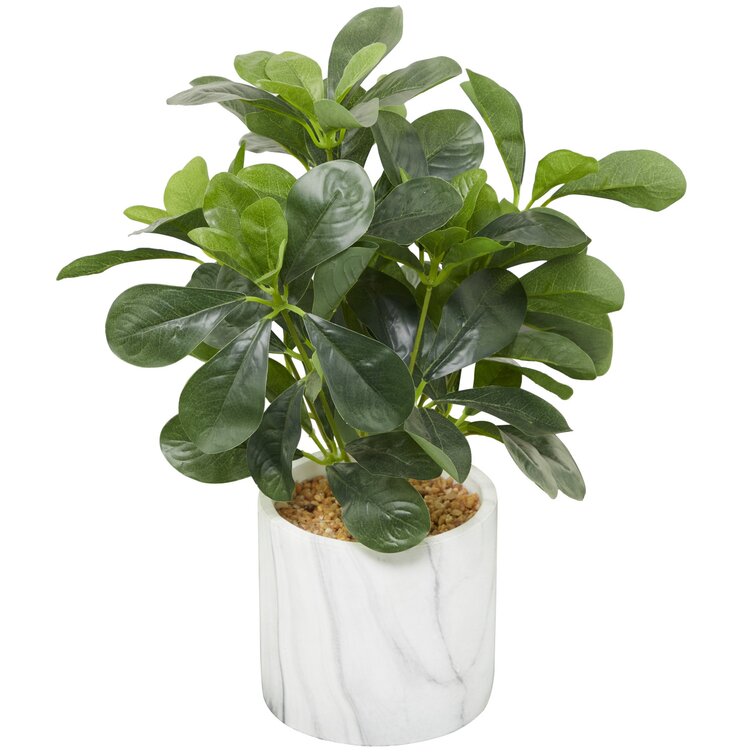 Cole And Grey Modern Plastic Floral And Botanical Artificial Foliage