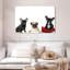 Bouledogue français et carlin Brampt-107714209