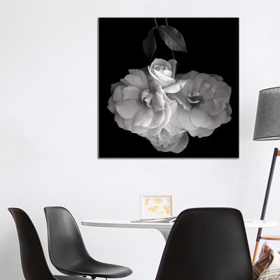 Rose White XVI by Magda Indigo - Wrapped Canvas Print
