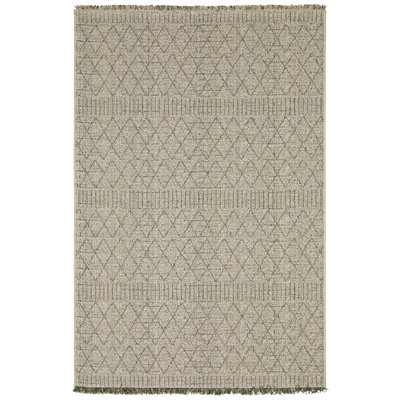 Rayfe Geometric Indoor / Outdoor Rug
