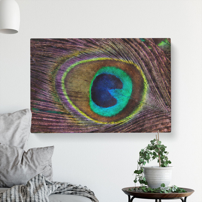 Peacock Feather - Wrapped Canvas, 40cm H x 60cm W x 3cm D
