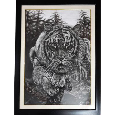 «Waiting For Hunt Tiger Charcoal», peinture sur papier encadrée - art animalier de 24,3 po x 24,12 po par Sudipta Sana