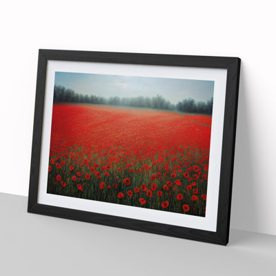 Irresistible Poppy Field Flowers - Single Picture Frame Print