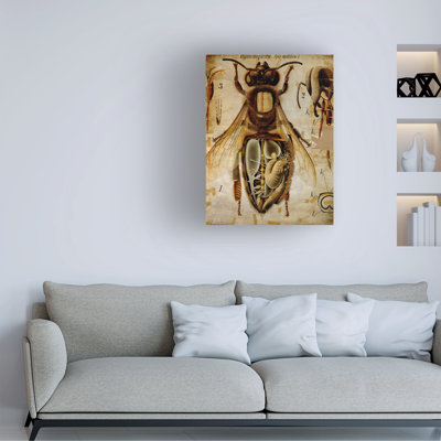 Art graphique sur toile, paul