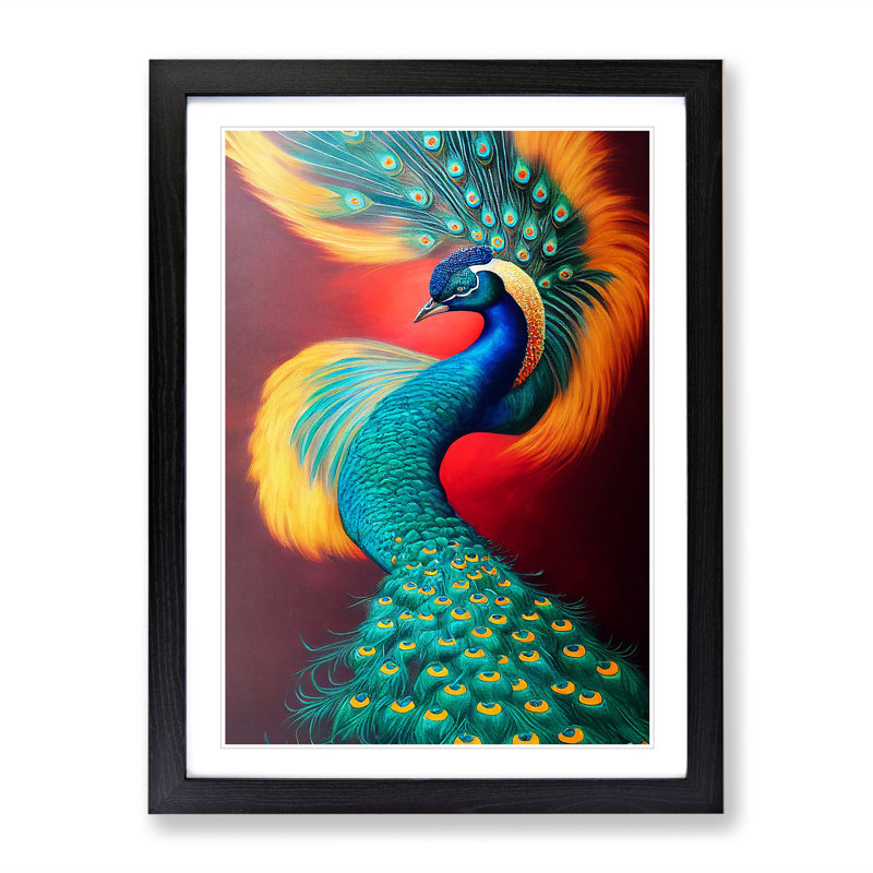 Bold Peacock Art No.2 - Wall Art, Black Framed, 66cm H x 48cm W x 2cm D, White