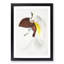 Bird of Paradise Illustration by John Edward Gray - Picture Frame Painting Print-55500827-55500830