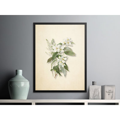 Coates Print