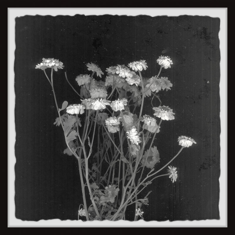 Wild Bouquet - Single Picture Frame Painting, 61cm H x 61cm W x 3.81cm D