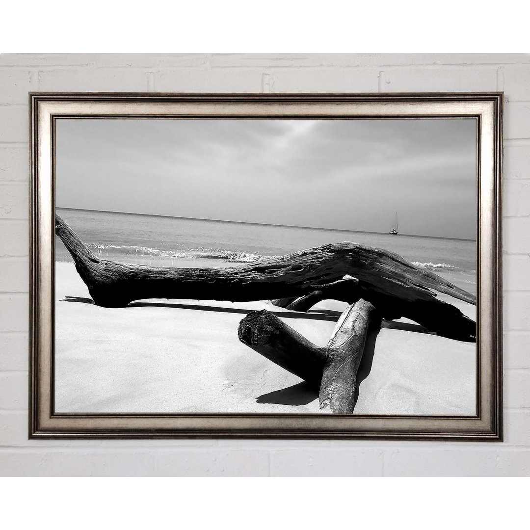 Gerahmtes Leinwandbild Ocean Drift Wood On The Shore B N W