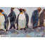 Acrylic Painting Circle Of Penguins