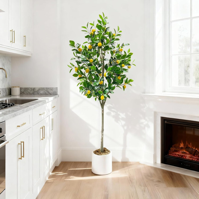 180cm Plant