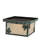Philpott Glass Flush Mount