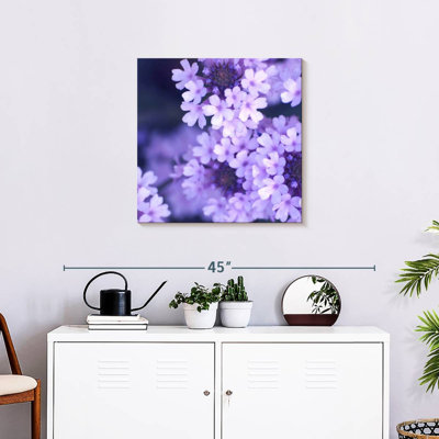 Harnek fleurs mauves