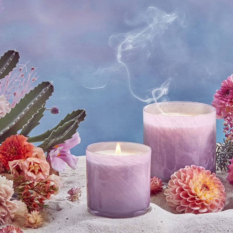 Midnight Cactus Classic Candle, 6.5 oz Jar