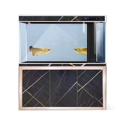 Réservoir d'aquarium 86-100 gallons