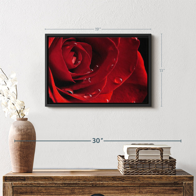 Impression sur toile Fresh Red Rose, H 13 po x l 19 po